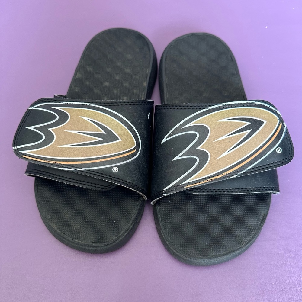 BUNDLE 4/$12💥 
Anaheim Ducks slides